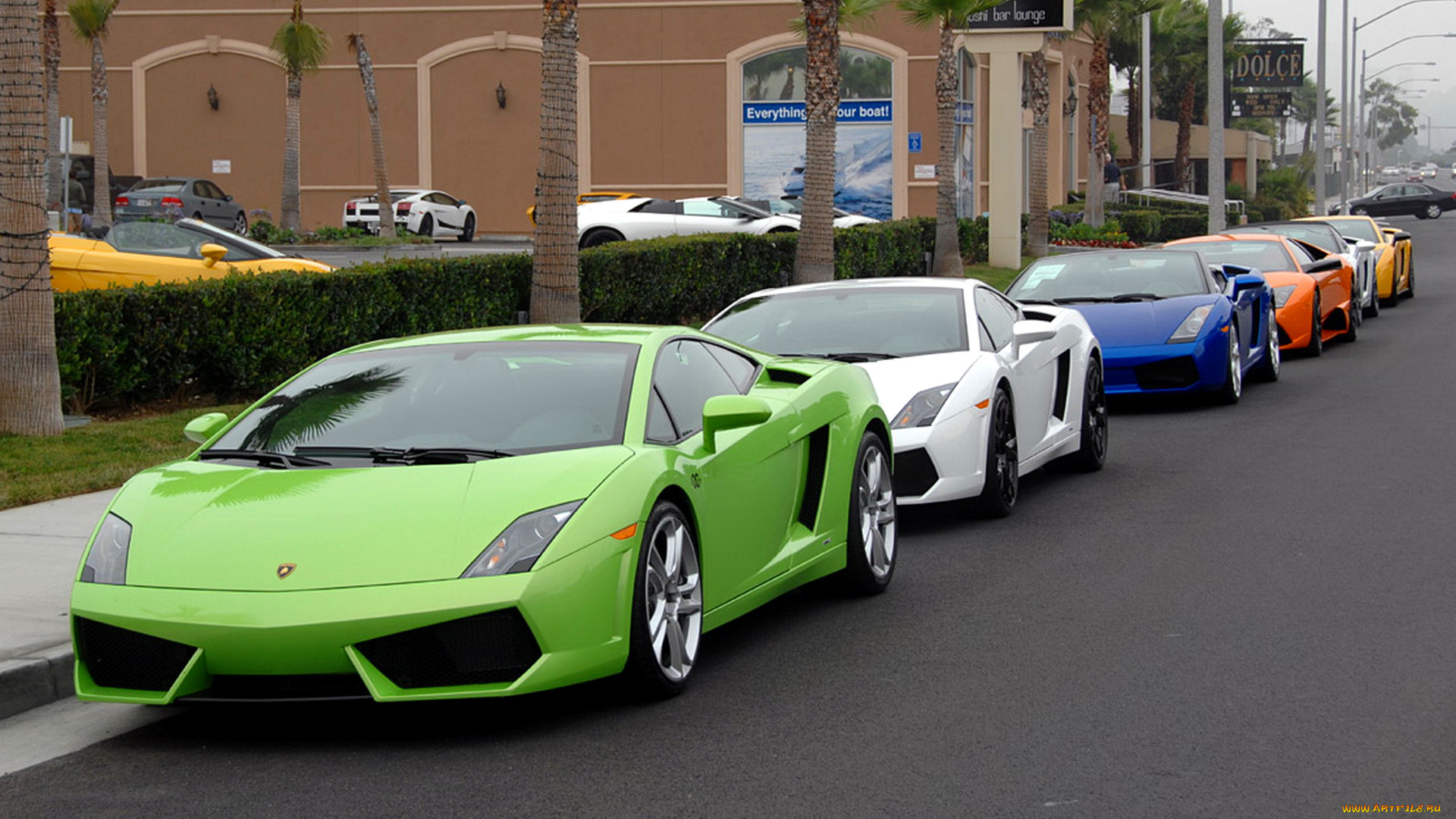 lamborghini, gallardo, , automobili, holding, s, p, a, , -, 